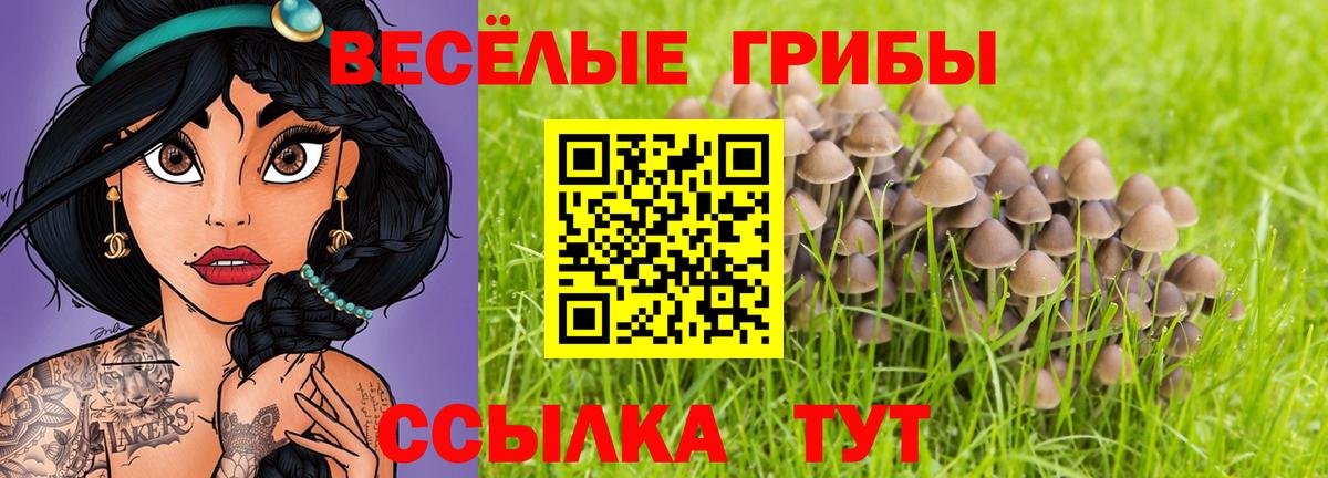 Вичуга  Галлюциногенные грибы MAGIC MUSHROOMS  Вход с VPN 